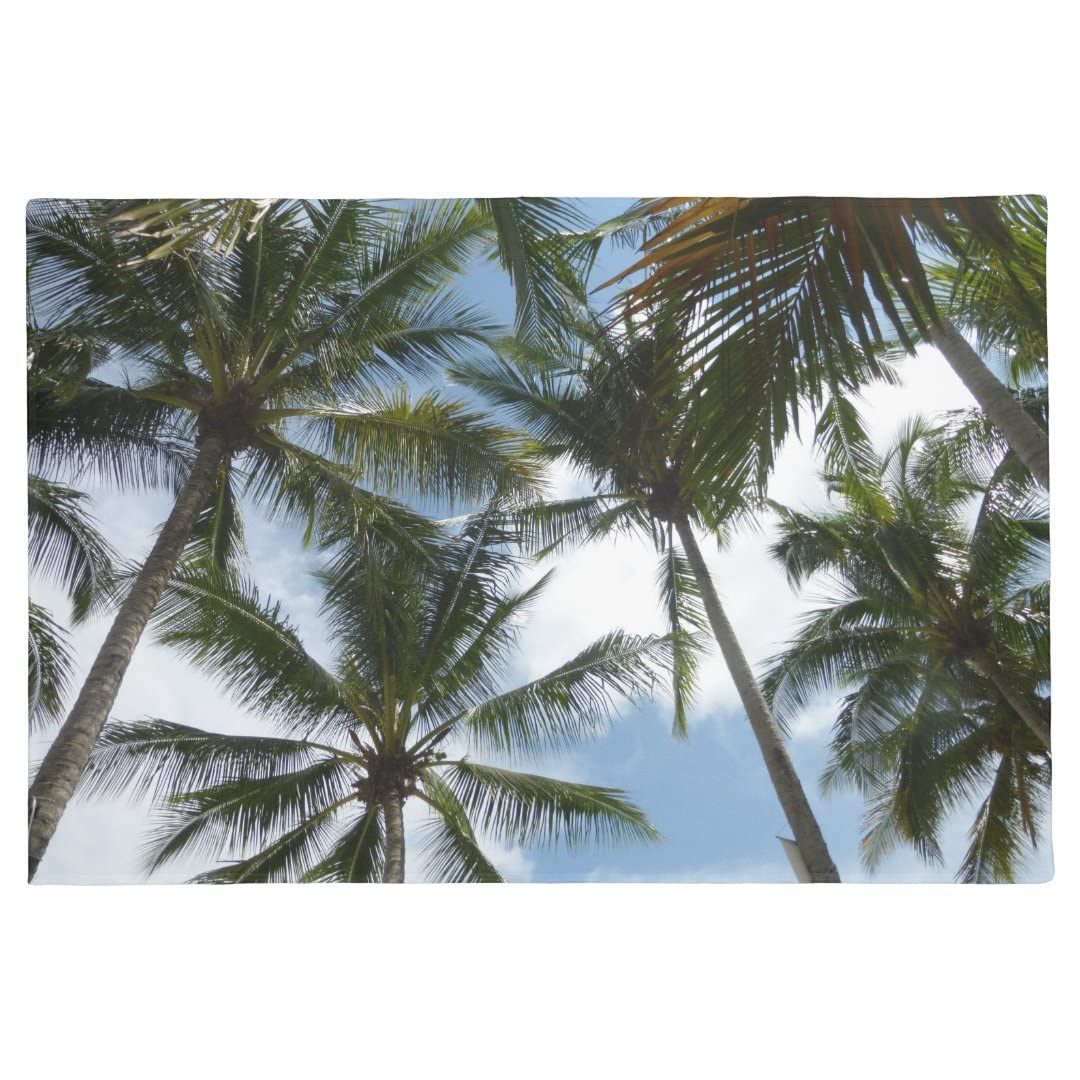 Palm Trees Blue Sky Door Mat Scenery Entrance Door Mat Rubber Indoor Outdoor Floor Mat for Home Decorative Supply 16x24 Inches