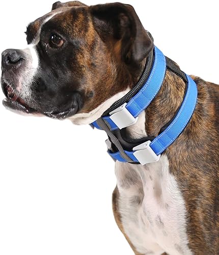 Miniatura 9 de Cesar Millan Pack Leader Collar - Collar de entrenamiento del perro susurrador (pequeño, gris)