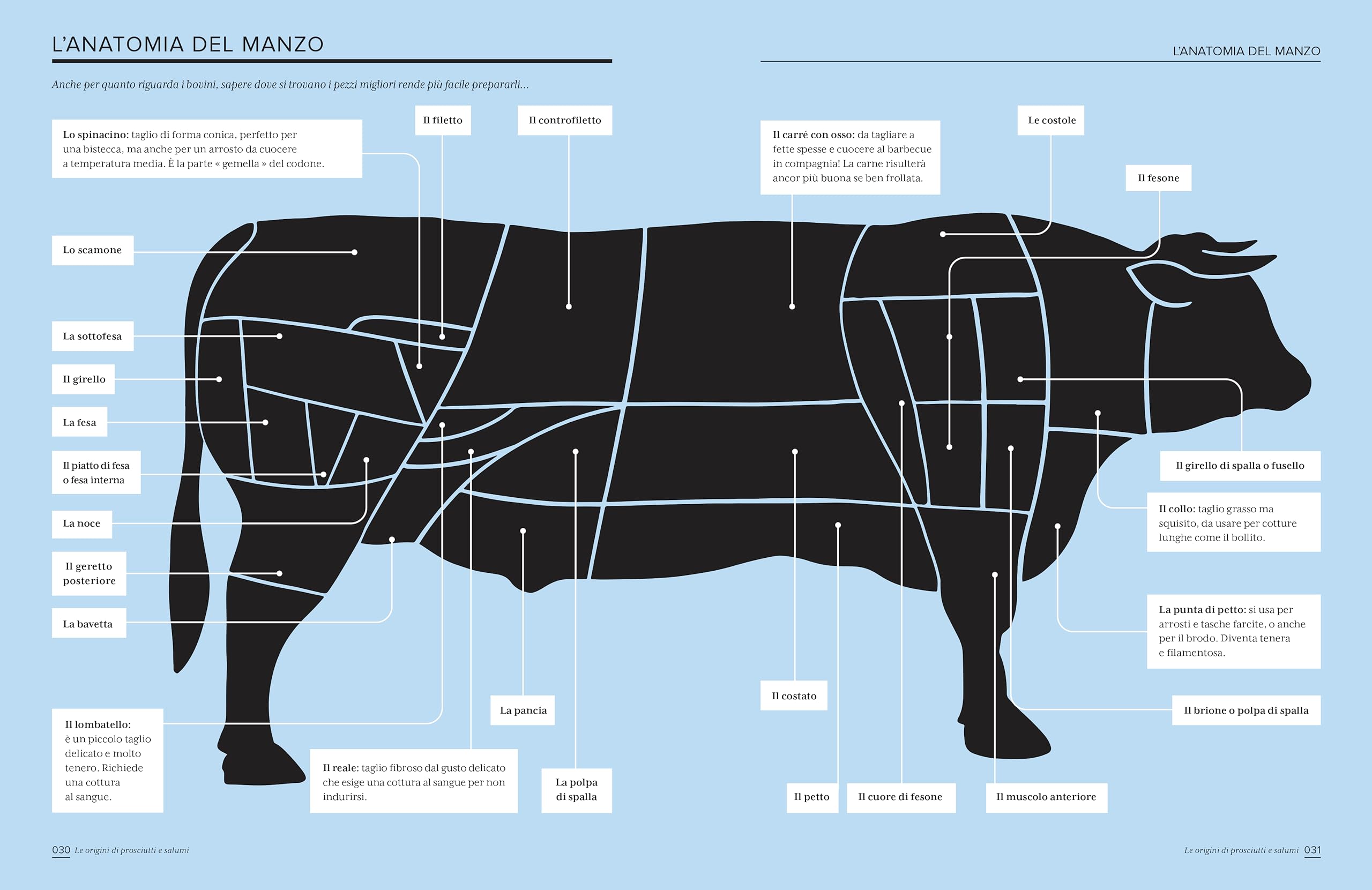 L'atlante illustrato dei prosciutti e salumi. Ediz. a colori