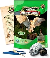 Vista 10 de NW Barn - Kit de disección de excrementos de búho (incluye instrumental e ilustraciones educativas)