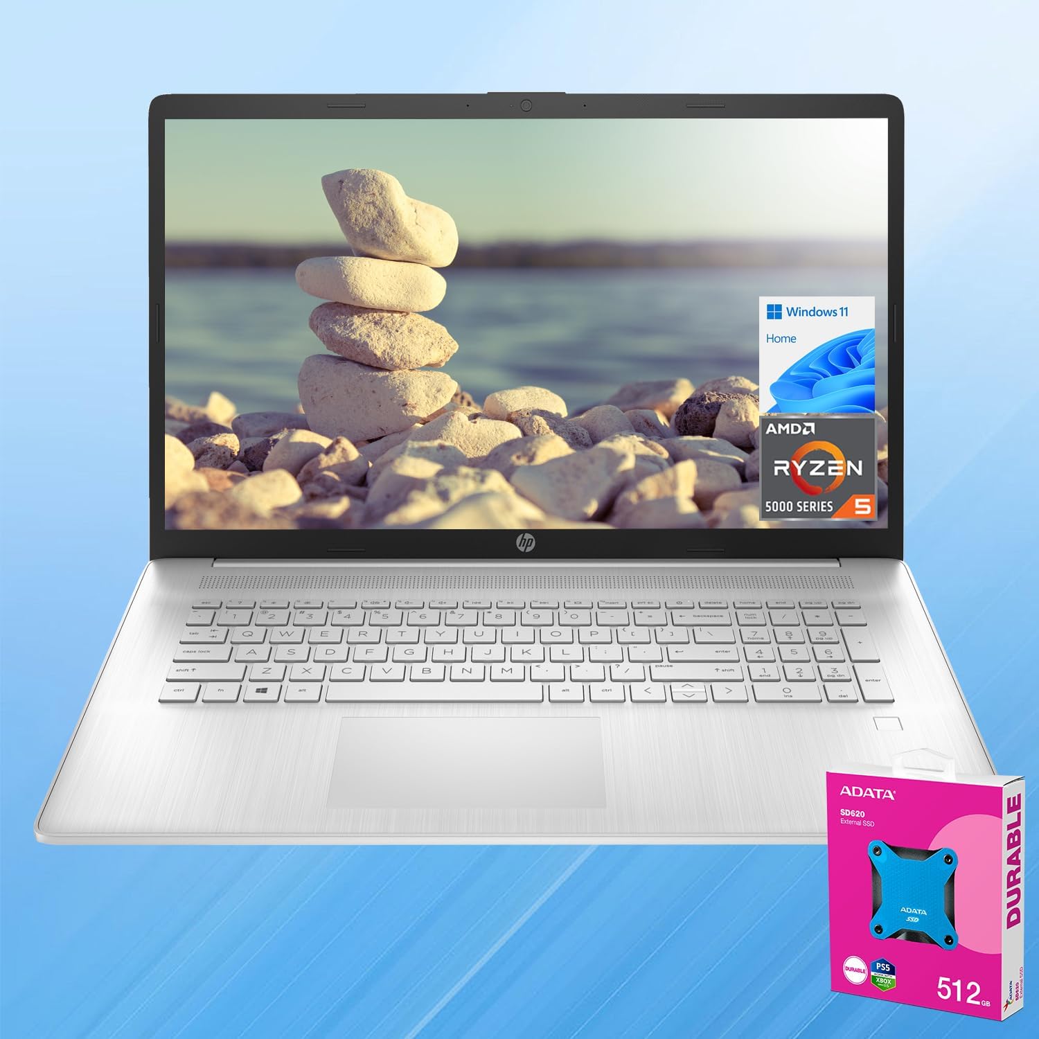 Amazon.com: HP Essential 17.3