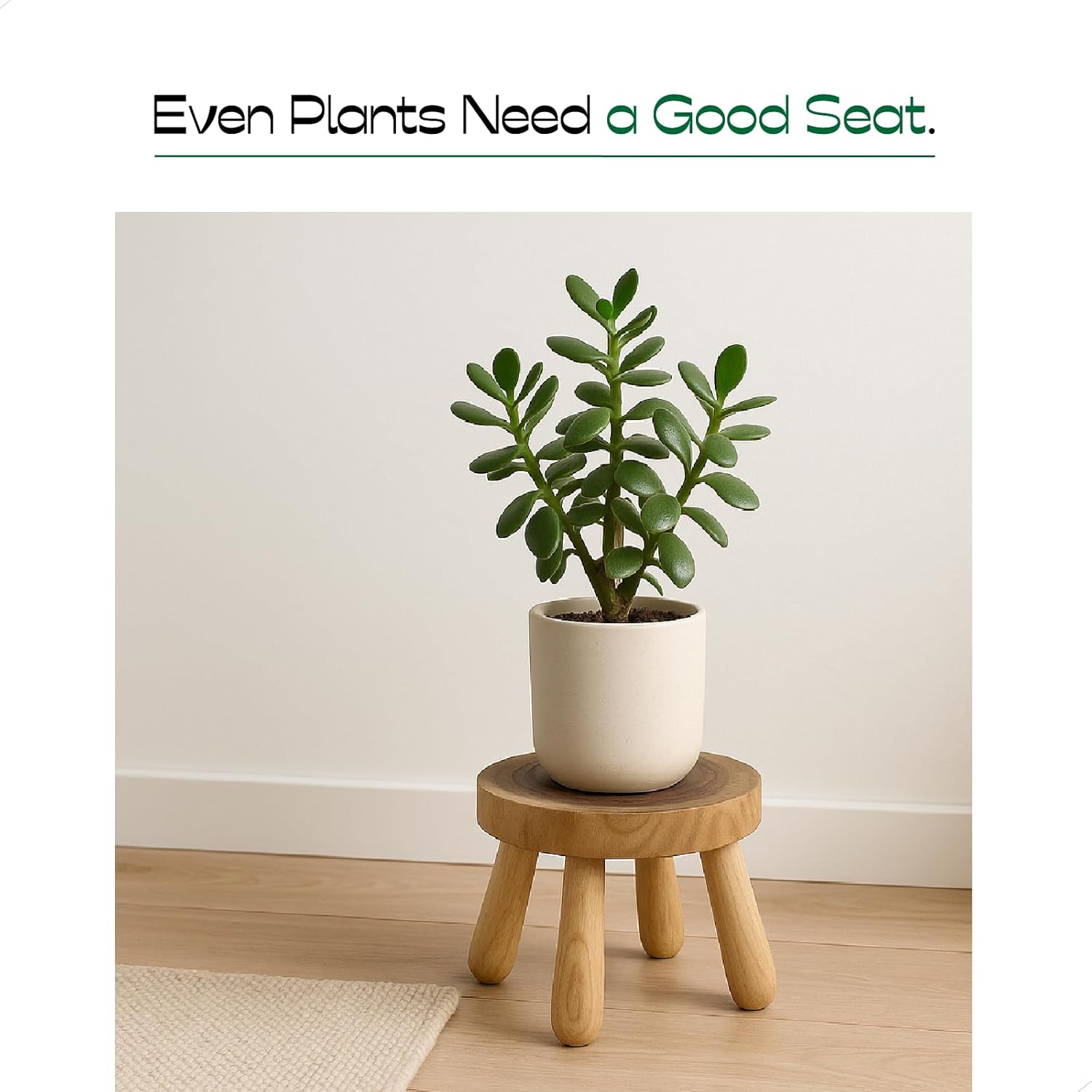 Small Short Solid Wood Step Stool, Natural Growth Ring Wood Stool for Kids and Toddlers, Simple Minimalist Riser for Plants and Home Décor