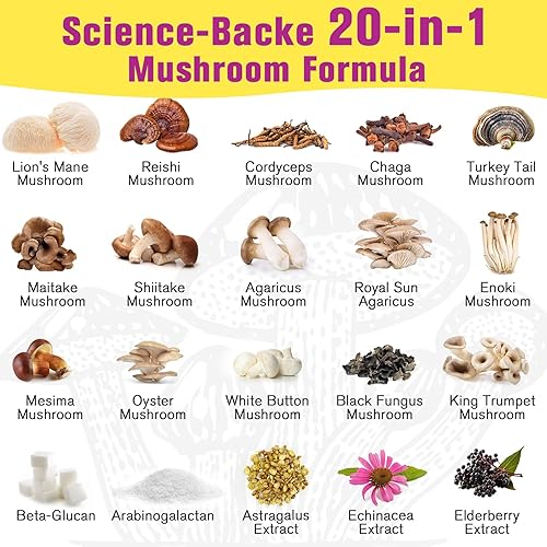 Miniatura 5 de Polvo de hongos  para café de hongos, complejo de hongos 20 en 1 con polvo de melena de león, reishi, cordyceps, cola de pavo y hierbas, suplementos