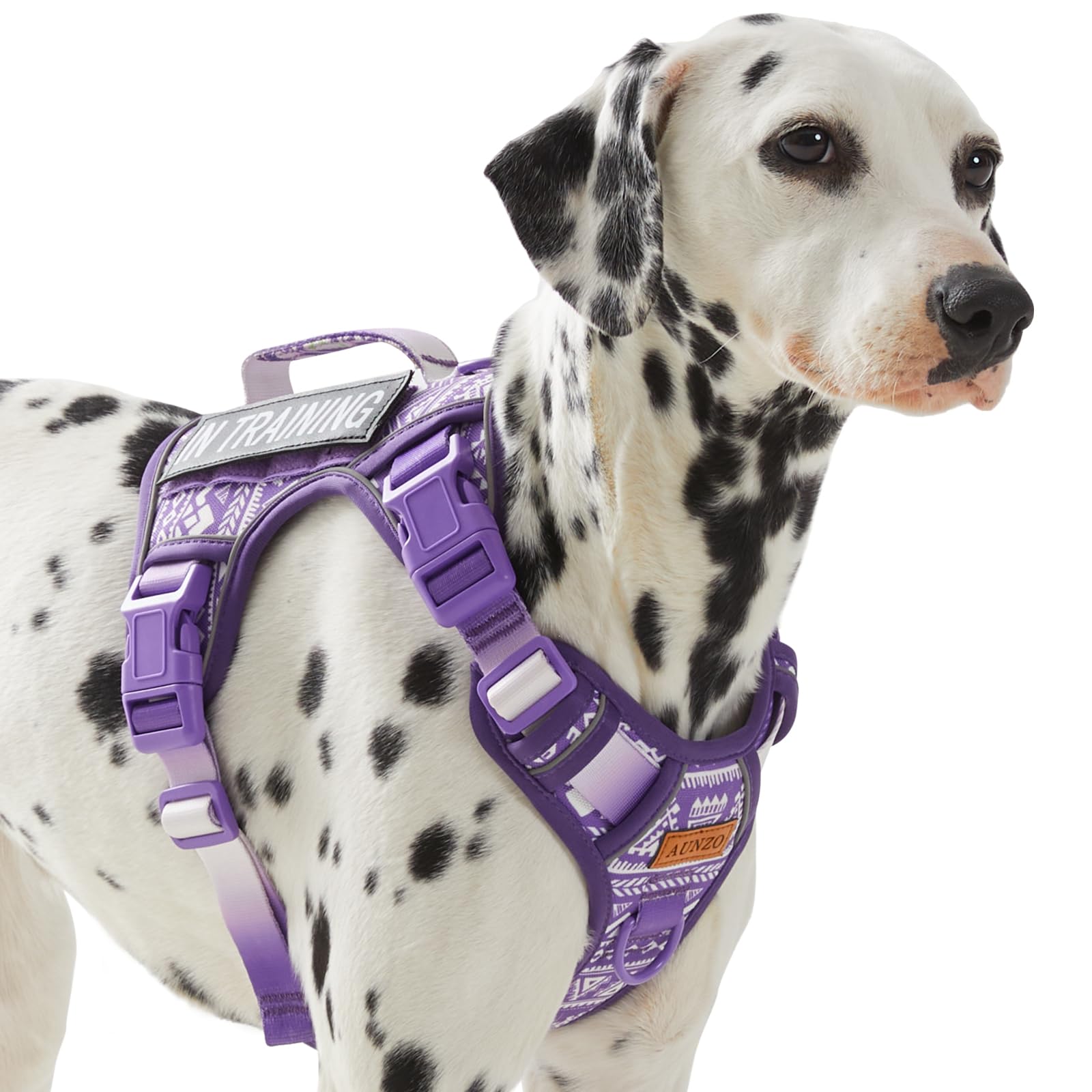 AUNZO Dog Vest Harness with 2 Patches, No Pull Dog Harness for Walking Training Hiking, Metal D-Rings Easy on/Off Neck Buckle Reflective Strips Soft Padded Handle, Purple — image 1