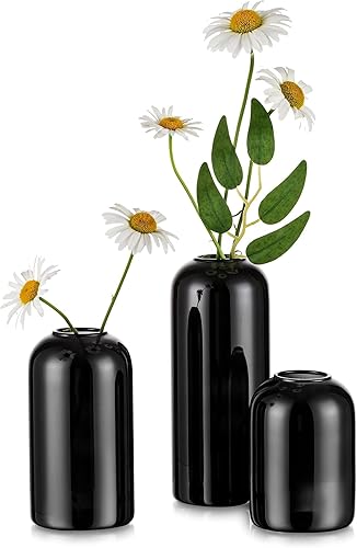 Glasseam Juego de 6 jarrones de cristal negro, bonitos jarrones decorativos pequeños para flores, jarrones de flores únicos para centros de mesa,