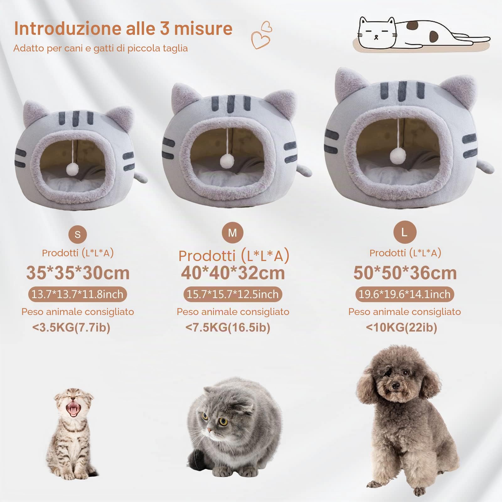 PETCUTE Cuccia per Gatti e Cani con Cuscino Rimovibile Lavabile, Fondo Antiscivolo, Morbida Nicchia per Conigli/Cuccioli