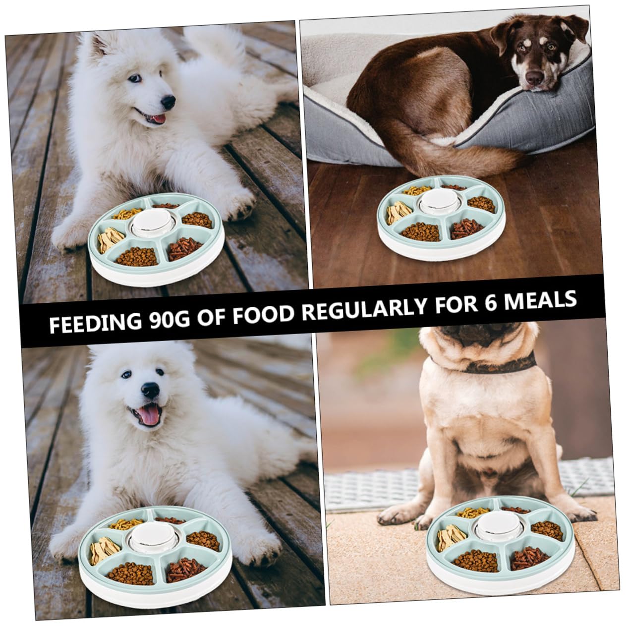 UKCOCO Comedero Automático Tolva de Pienso para Mascotas con Temporizador de 6 Comidas Diseño Desmontable ABS para Perros y Gatos