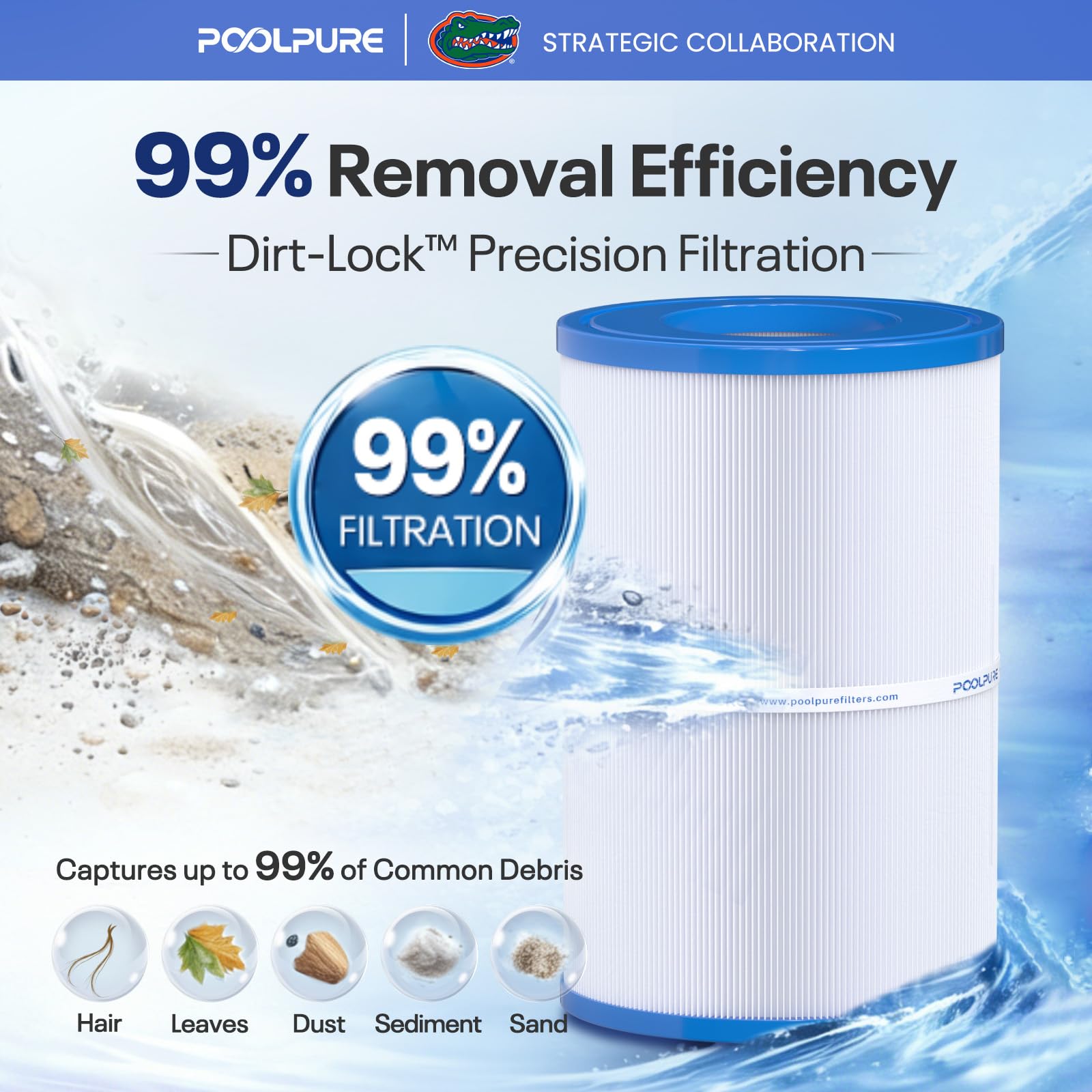 POOLPURE Lot de 2 filtres ovales PDM30 compatibles avec Les jacuzzis Dream Maker 461269, 30 m²