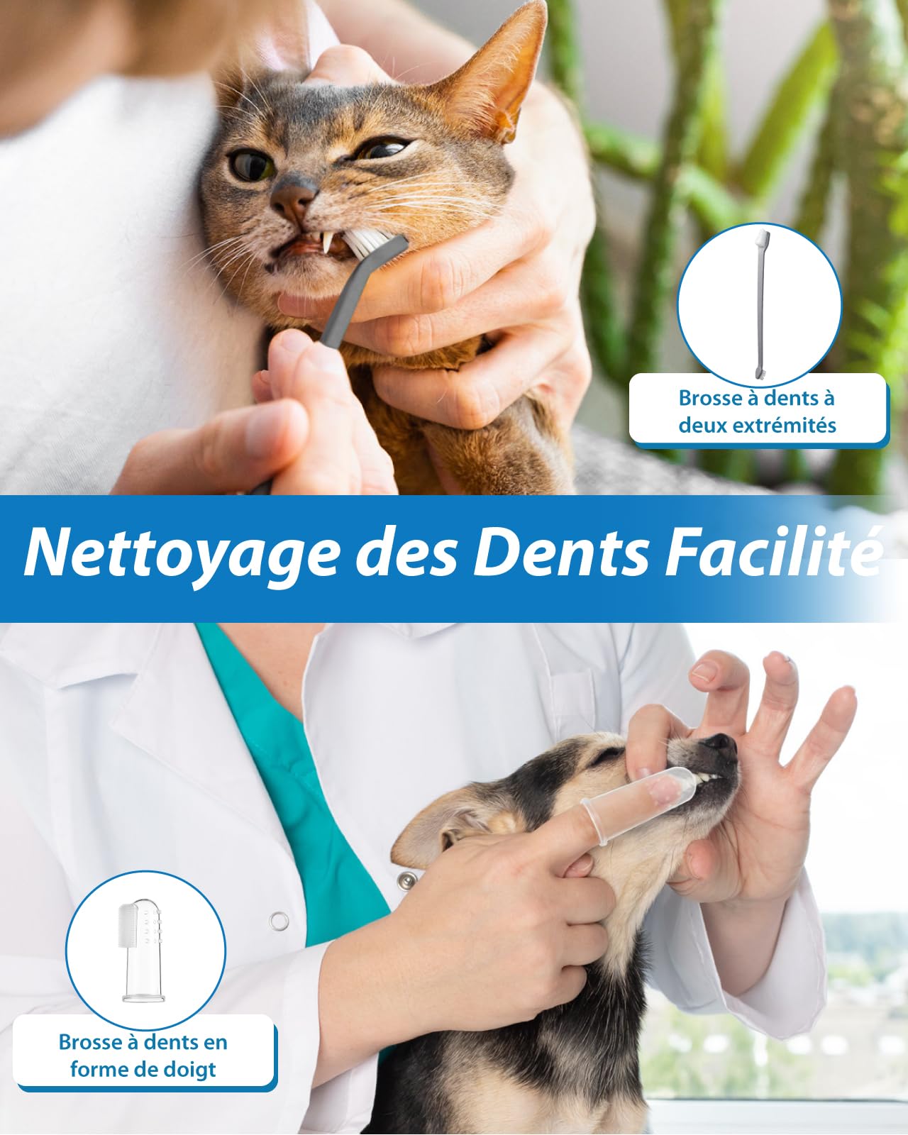 Kit de Nettoyage Tartre Dentaire à Ultrasons pour Chien et Chat, Detartreur Brosses à Ultrasonique Dents Détachant Nettoyeur, 5 Modes de Nettoyage et 4 Têtes de Nettoyage pour Pet Animaux de Compagnie
