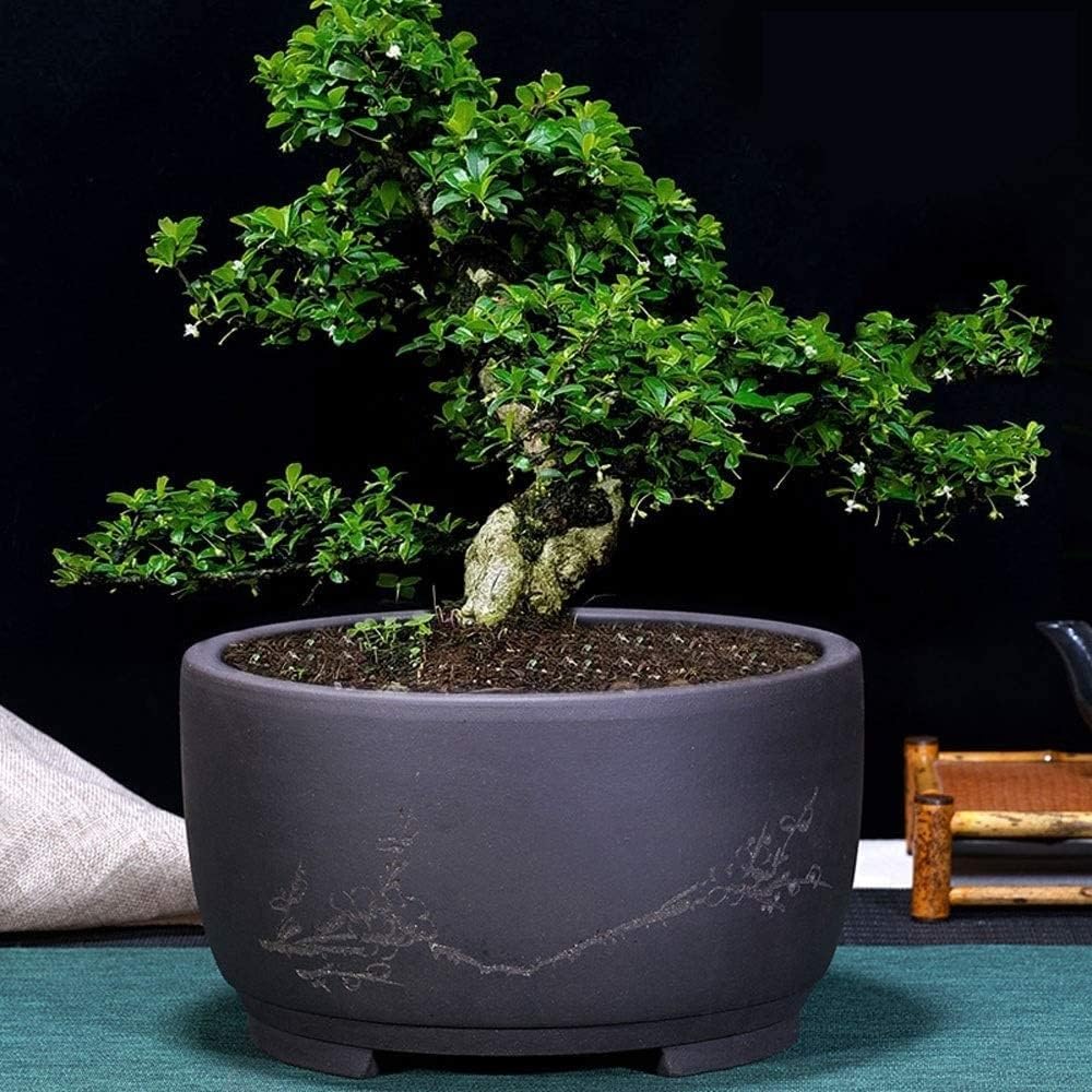 Generico Vaso bonsai tradizionale cinese in ceramica nera opaca con foro di drenaggio, fioriera rotonda floreale incisa for piante grasse da interno, decorazioni for la casa