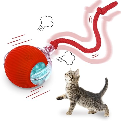 Interactive cat Toys for Indoor Cats, Speedy Tail 3.0 Cat