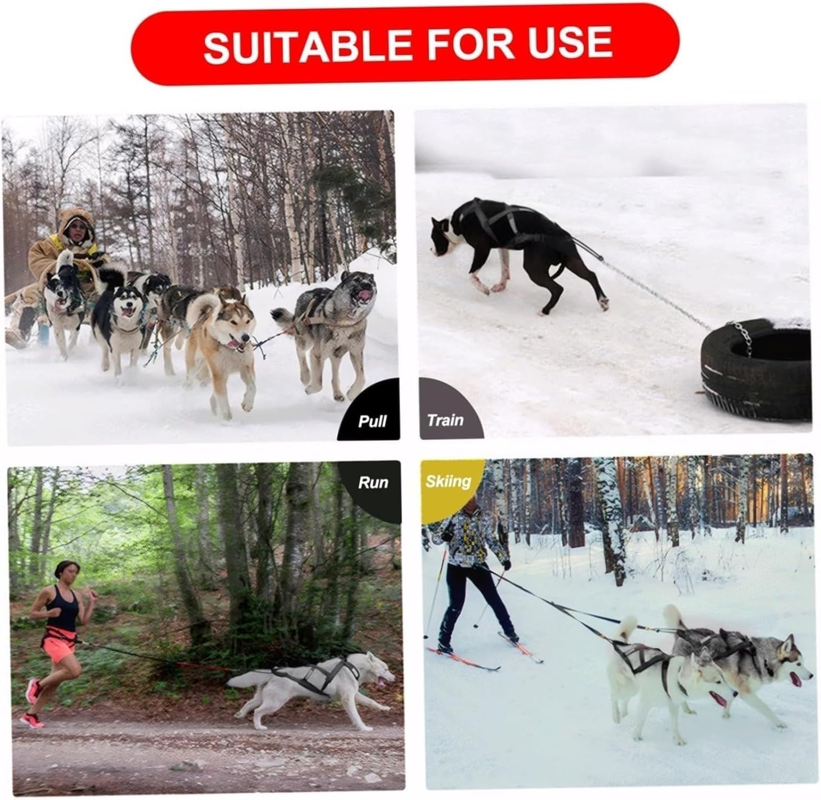 Harnais de traction pour chien, harnais Husky de traction pour animaux de compagnie pour exercice de luge, traîneau d'animaux de compagnie, cyclisme