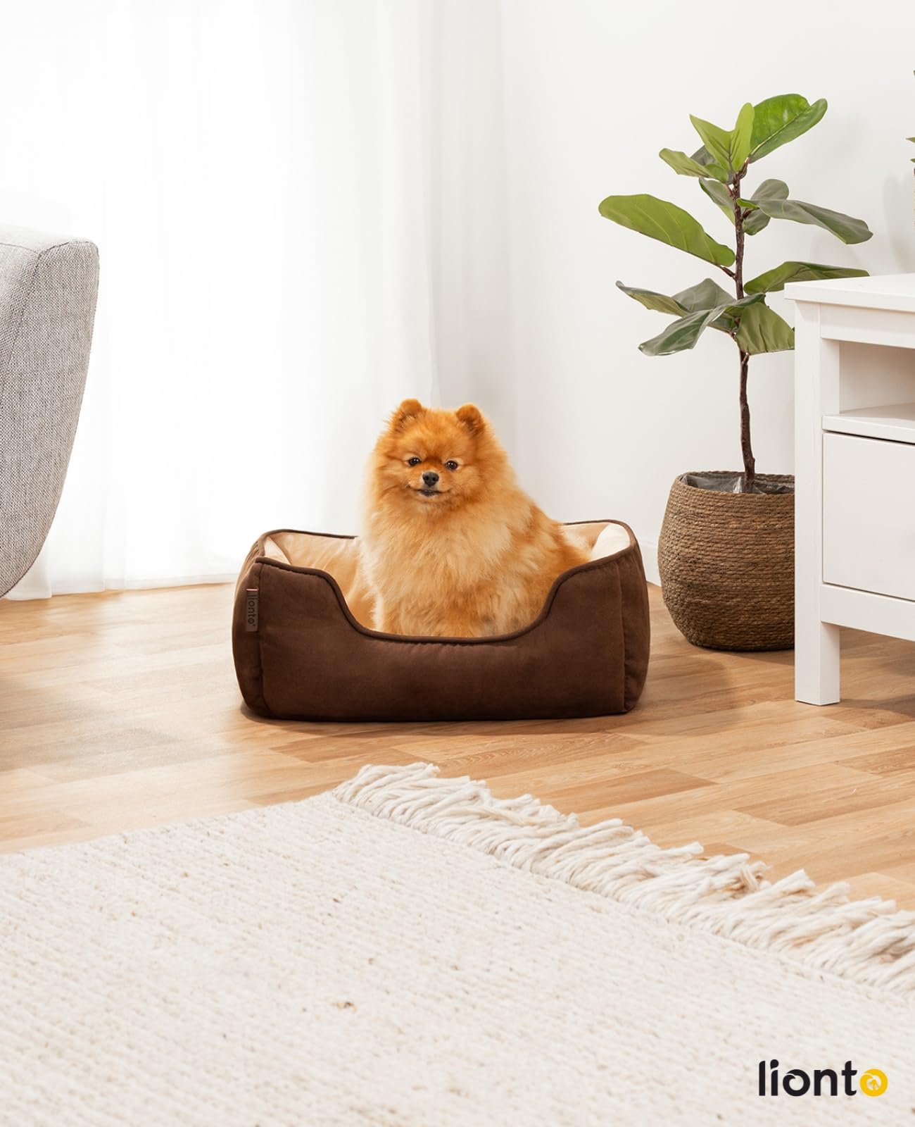 lionto Letto per cani 2 in 1 con ingresso confortevole, accogliente cuccia reversibile per cani e gatti, 60x50 cm, cuscino per cani in similpelle facile da pulire, marrone/beige
