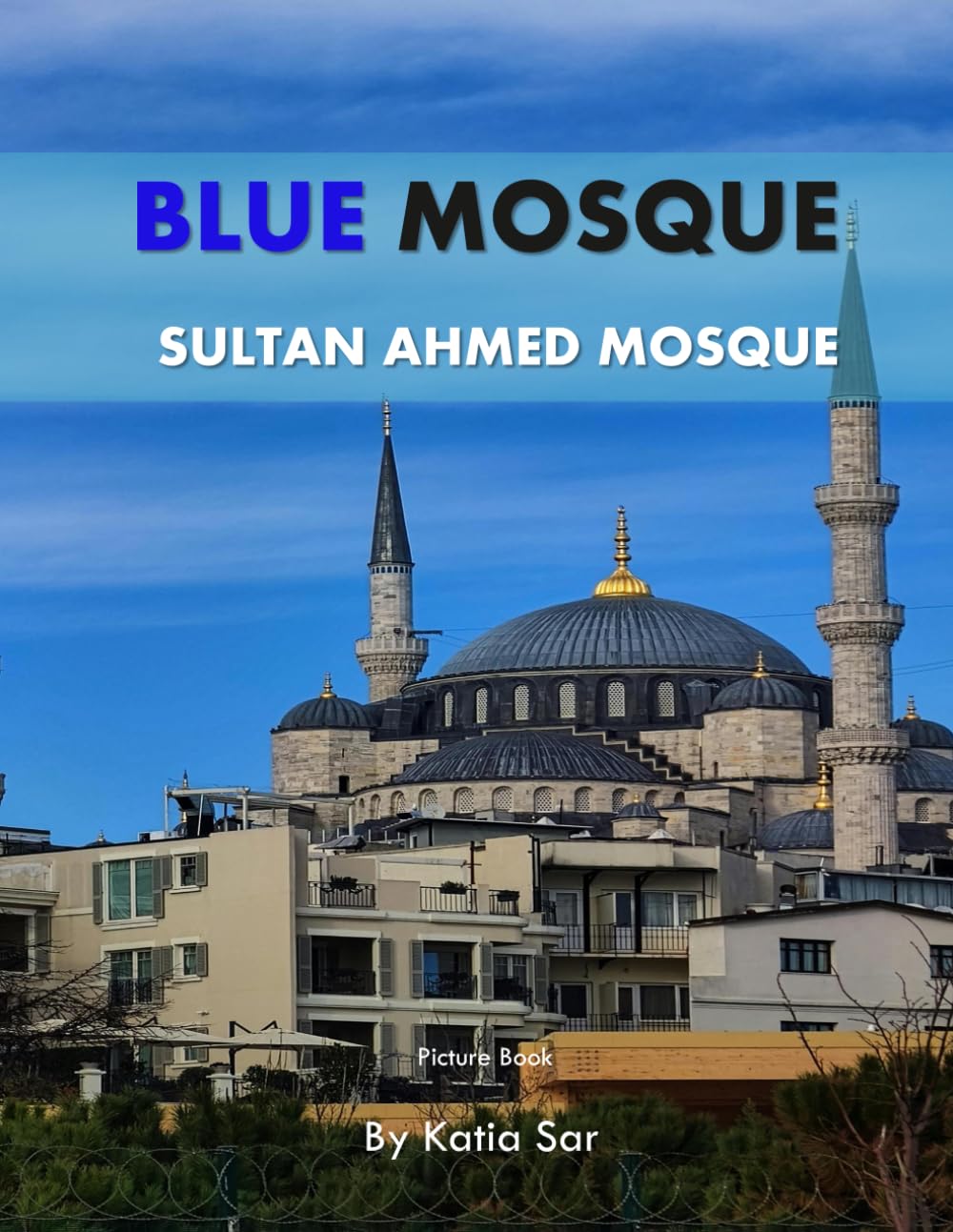 Blue Mosque: A Perfect Coffee Table Picture Book - Travel and Tourism lovers.