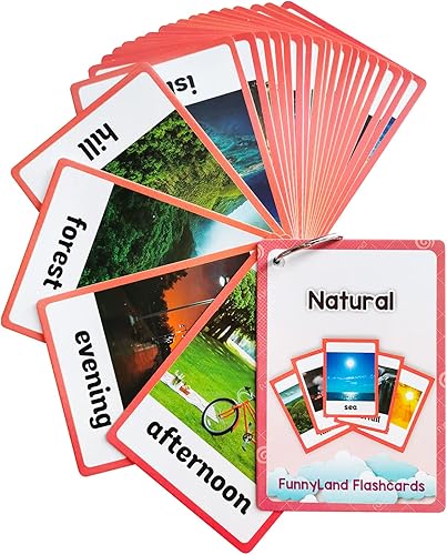 Miniatura 18 de Lilias Tarjetas flash – Tarjeta de bolsillo con palabras en inglés para niños pequeños, juguetes de aprendizaje, suministros para jardín