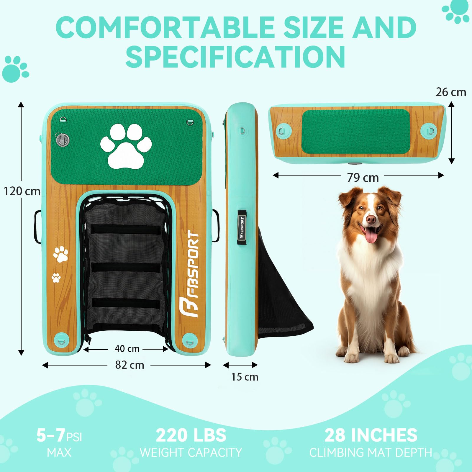 Rampe d'accès à l'eau Gonflable pour Chien, échelle Flottante pour Piscine, Bateau, lac, échelle Flottante antidérapante en EVA pour Chien jusqu'à 100 kg, Accès à l'eau Facile et sûr