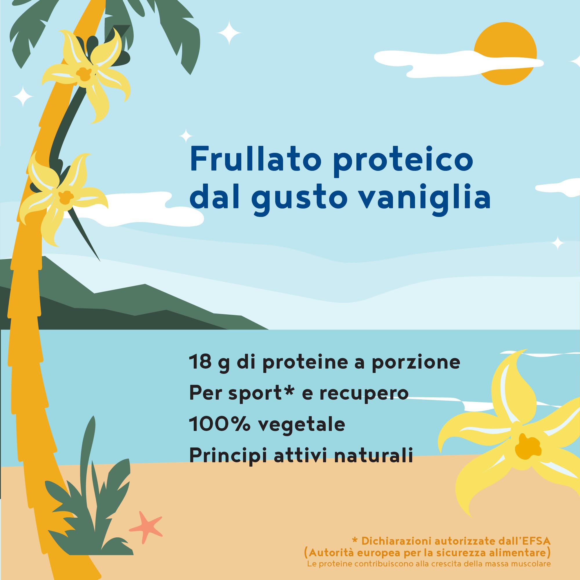 Proteine in Polvere | Vegan Protein Arricchite con BCAA e creatina monoidrata | Vaniglia | 600g | Aminoacidi Essenziali Pre workout, Mass Gainer | Vegan Muscle Protein | Alpha Foods