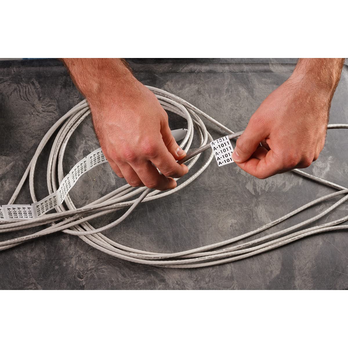 Brady BPTDS-30-390 TLS 2200 and TLS PC Link 1.181