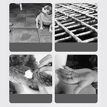 Dog Toilet Drawer Pull-out Small And Medium-sized Dog Large Size Cleaning And Anti Stepping Pet