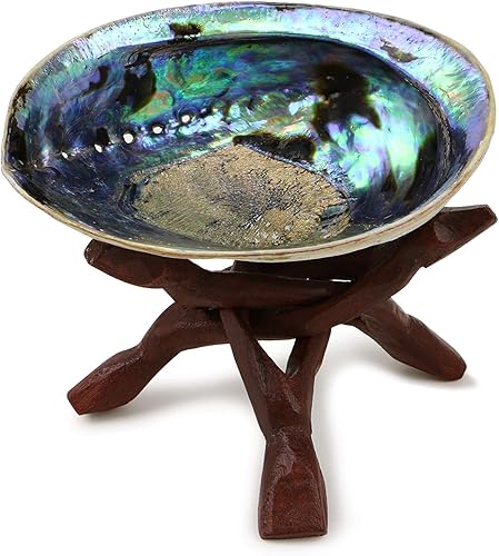 Miniatura 7 de Ocean Shell Studios. Concha natural de abulón