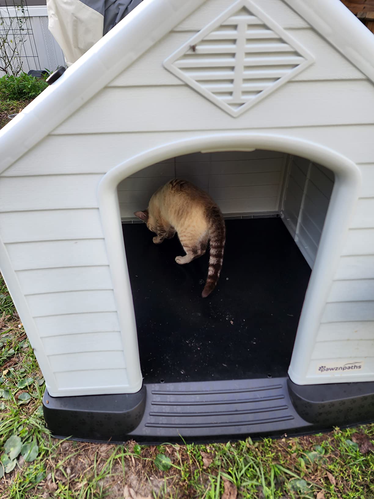 22/mo Finance Outdoor Indoor Dog House Includes Raised Floor, Air vents (L34.5in x W31in