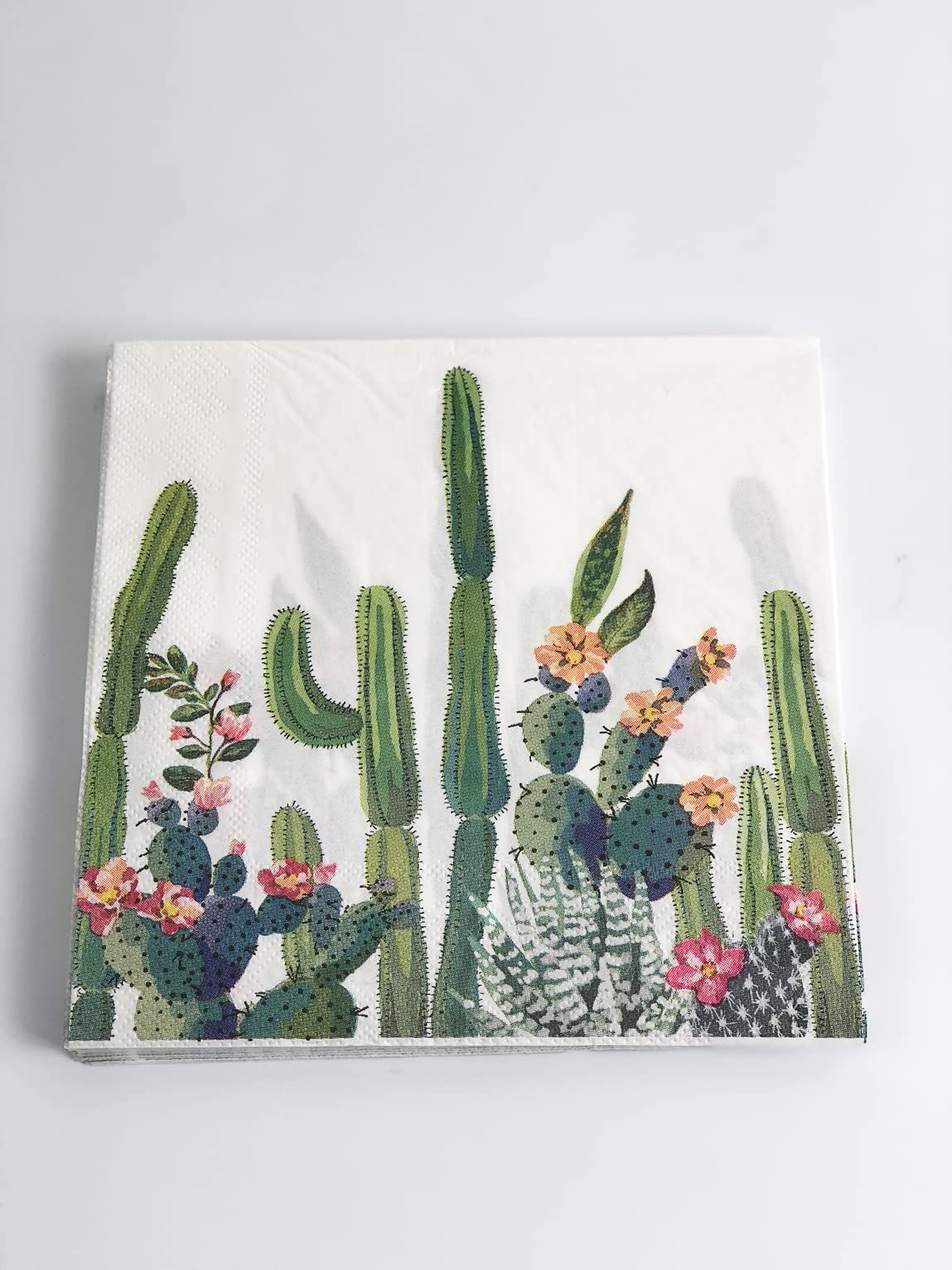 40 Pack Succulent Cactus Paper Napkins for Fiesta Wedding, Party, Birthday, Dinner, Lunch(2-Ply, 6.5 x 6.5 In)