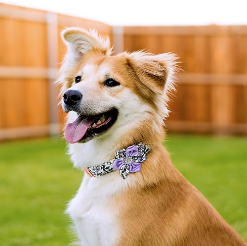 Miniatura 8 de TDTOK Collar de perro para perros pequeños, medianos y grandes, lindo collar de perro con hebilla de metal desmontable de seguridad de flores con