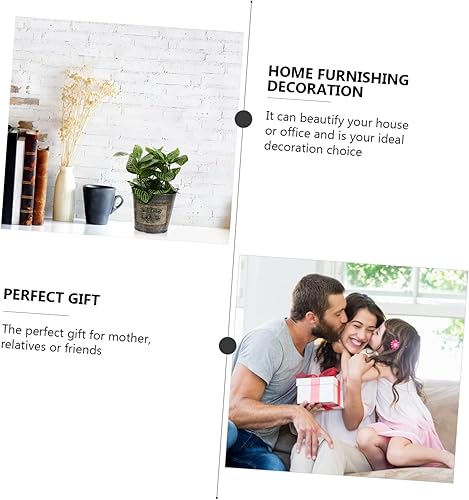 Miniatura 6 de ABOOFAN 3 unids fuente de hojalata plantas de interior viva jarra de leche vintage iplantador cubo antiguo maceta Shabby Chic jarrón de basura cubo