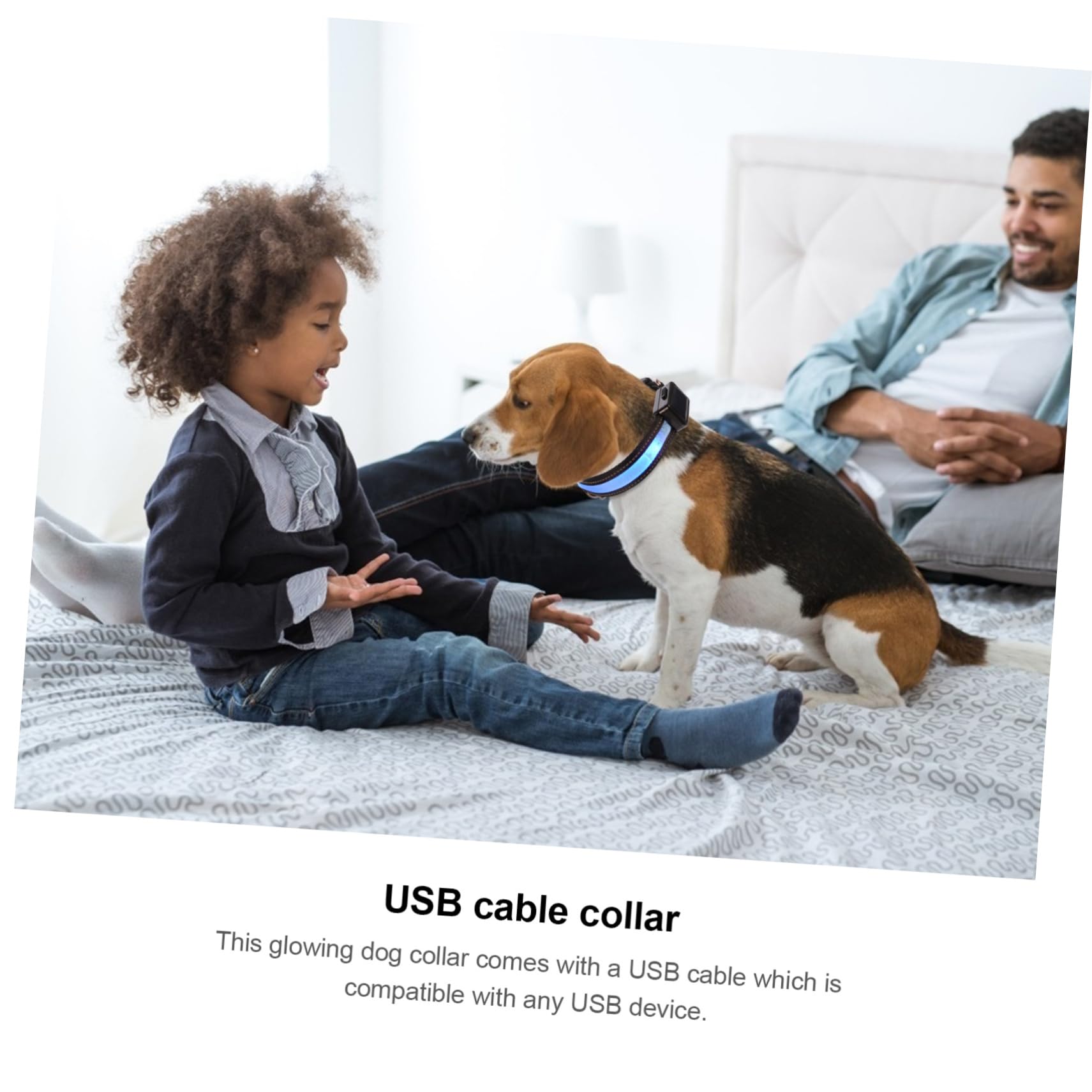 SUPVOX 3ensembles Collier Lumineux pour Chien LED Rechargeable USB Collier De Sécurité Nocturne pour Animaux De Compagnie Étanche