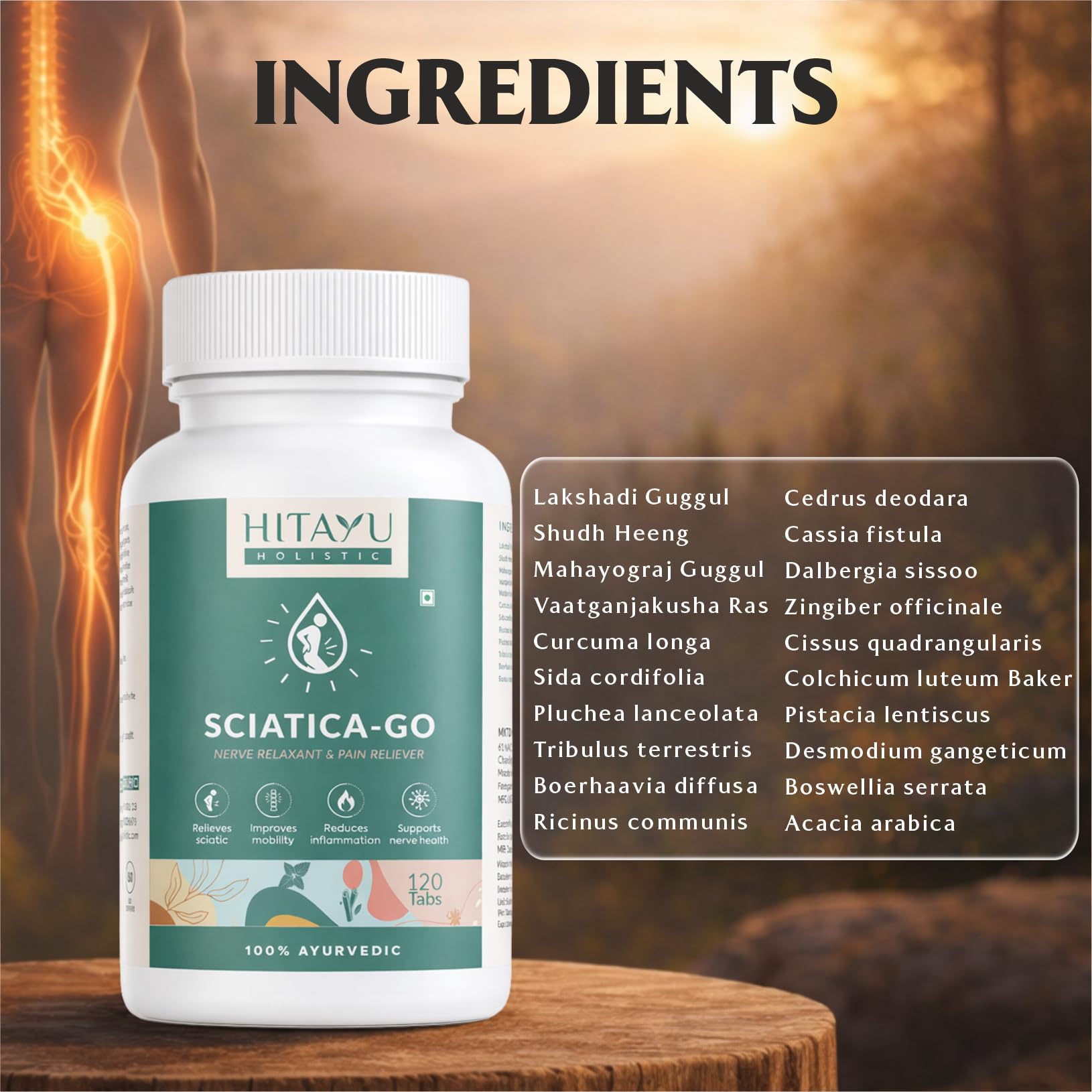 Sciatica Go | Nerve Relaxant & Pain Reliever | Ayurvedic Relief for Sciatic Pain, Inflammation & Nerve Health | Supports Mobility, Flexibility & Vata Balance | — Amazon image 4