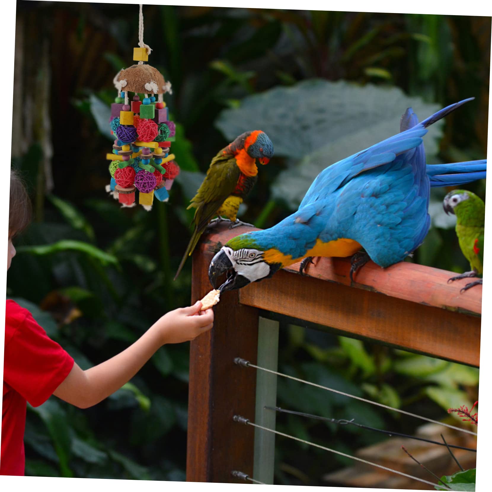 Angoily 1piezas Juguete para Aves De Jaula Accesorios para Periquitos Juguete Colgante De Natural para Mascotas para Masticar y Jugar La Jaula De Aves