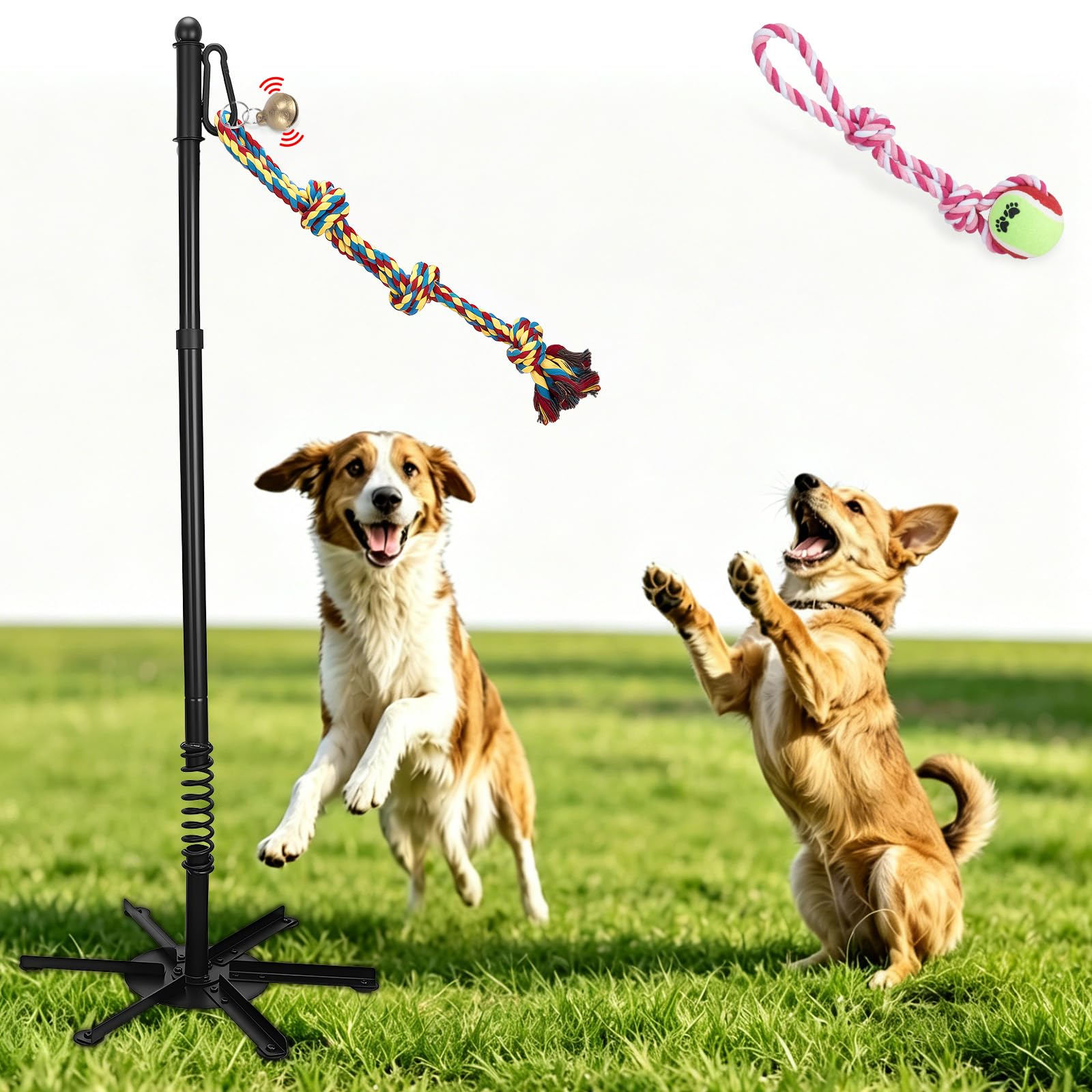 Tether Tug - Juguete interactivo para perros grandes, medianos y pequeños, juego interactivo de cuerda de amarre con 2 cuerdas y campana para hacer ejercicio y jugar en el patio o parque