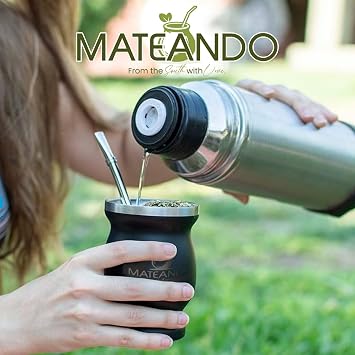 Stainless Steel Yerba Mate Cup Set with Bombilla Beginner-Friendly Mate Starter Cup, Easy to Clean, Modern Design for Everyday Use