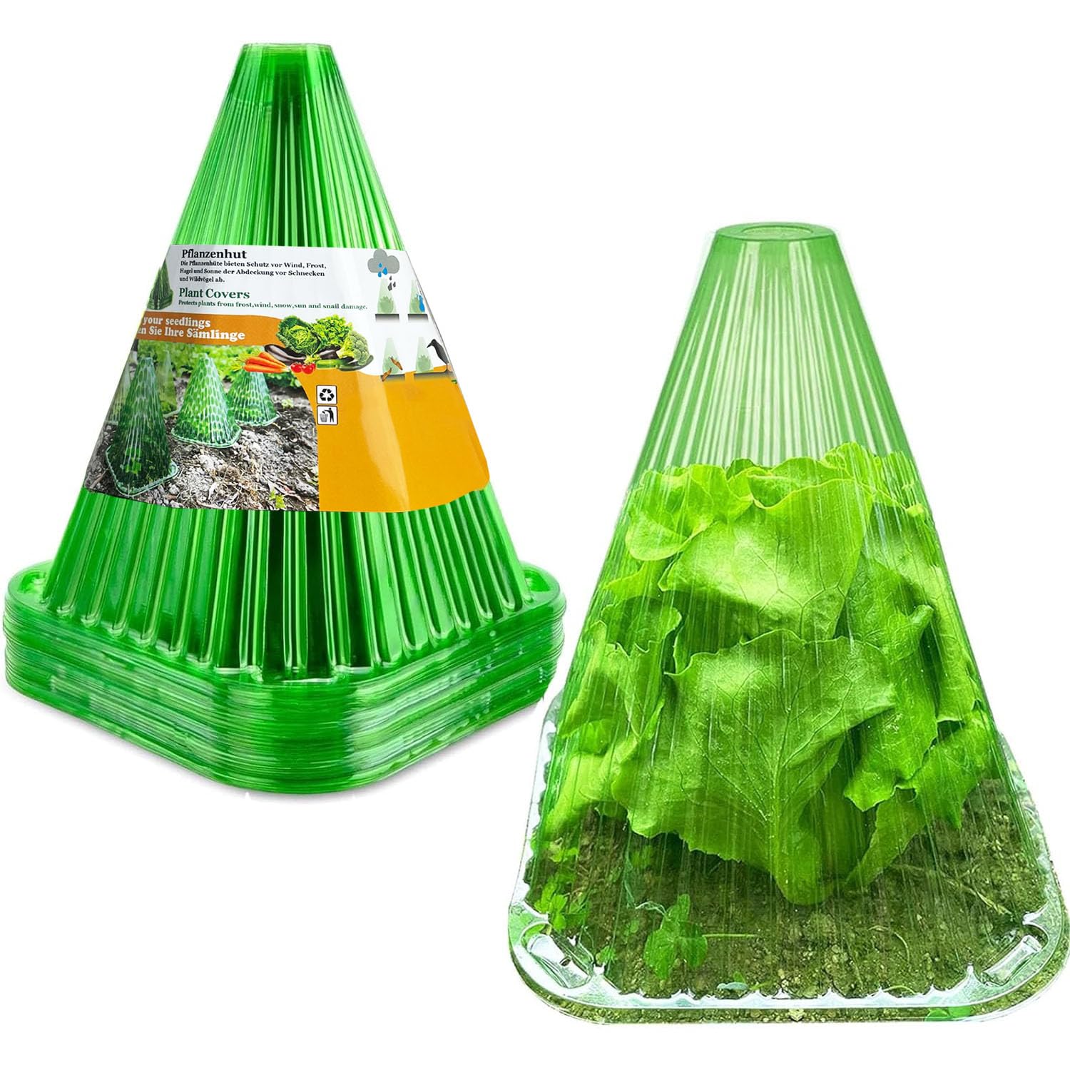 The Best Cloches for Safeguarding Tender Plants: Top Picks for Winter Protection - PlantNative.org 717o b5qfJL