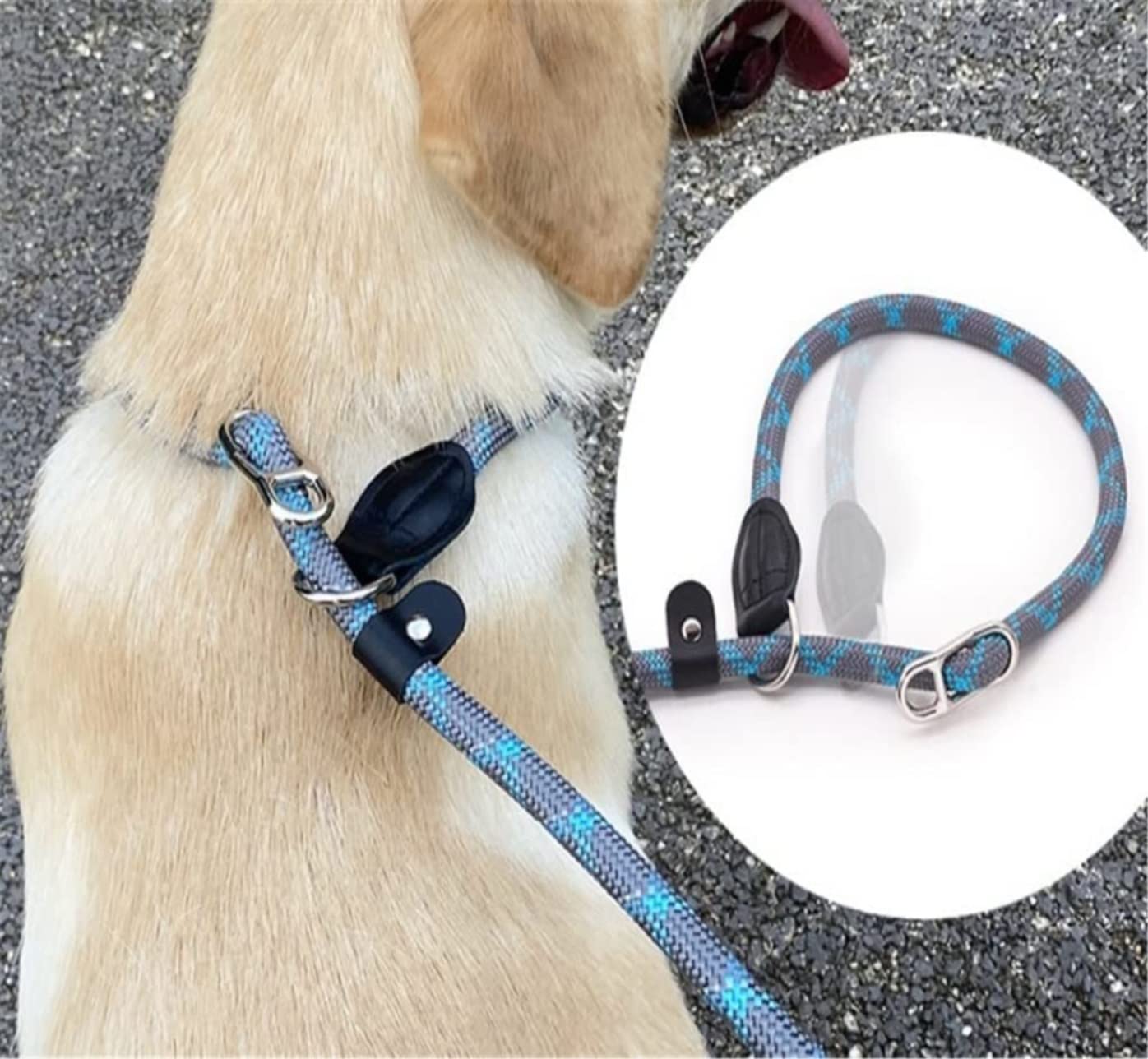 Correa Perro Cadena P Reflectante Collar Deslizante Grande Mascota Caminar Plomo Perro Escalada Cuerda Cómoda Correa Perro Suave(Oranje,13mmX150cm)