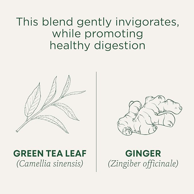 Té Verde con Jengibre Orgánico - 16 Saquitos miniatura 4