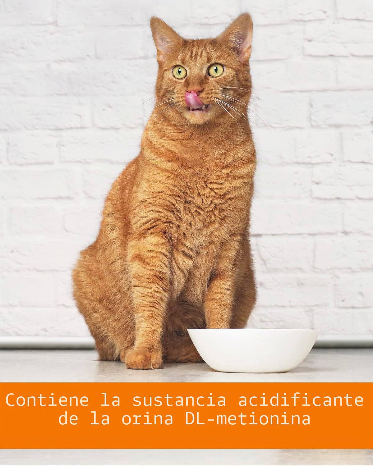Vetoquinol URO-Pet Pasta | Paquete Triple | 3 x 120 g | Suplemento alimenticio para Perros y Gatos | para apoyar la Salud del tracto urinario | con el aminoácido DL-metionina