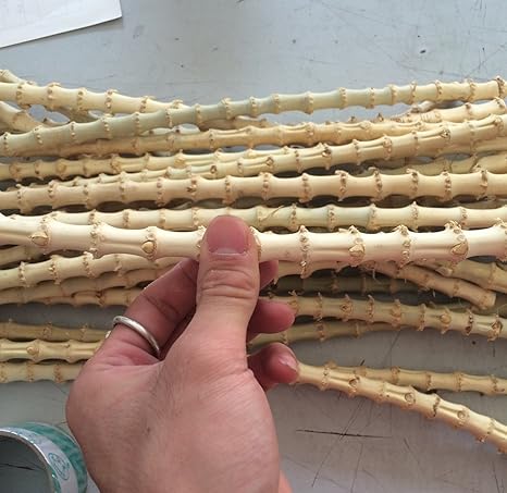 Amazon 白竹の根竹パイプなどの自作に最適 厳選する 30 インテリア オンライン通販