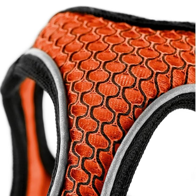 Foto 4 de 8 de Hunter - Arnes Hilo Comfort Xxs Naranja