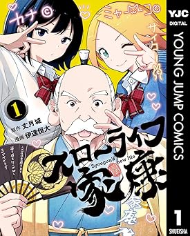 スローライフ家康