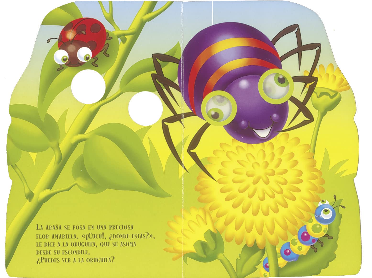 Araña (¡Cucú!, ¿Dónde estás?)