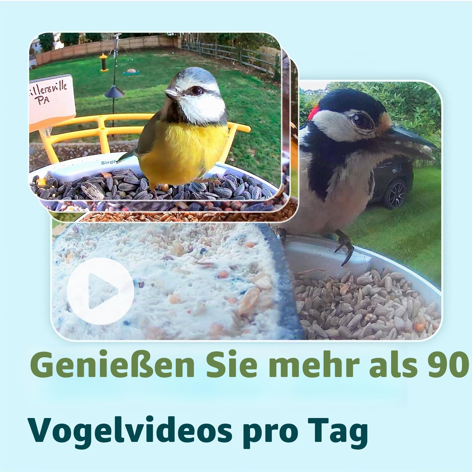 NETVUE Vogelhaus mit Kamera, Vogelfutterstation, Futterstationen für Wildvögel, Vogelfutterhaus mit Video Aufnehmen, Vogelhäuschen mit Kamera, Vogelfutterspender Vögel Erkennung
