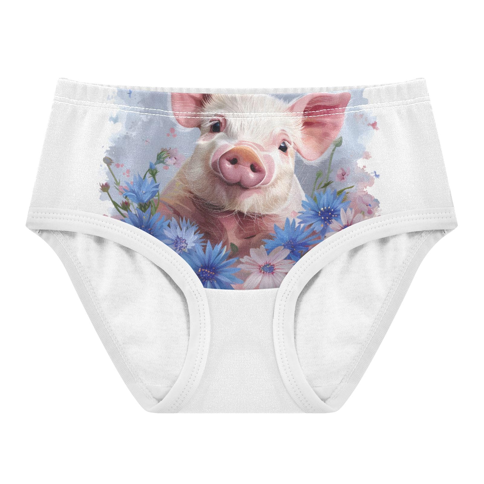 ALAZA Toddler Girls Cotton Hipster Underwear Soft Pig Cornflowers 2 Pack 2T