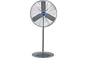 Global Industrial Fan: Oscillating Pedestal Fan, 30" Diameter, 1/3HP, 8775CFM