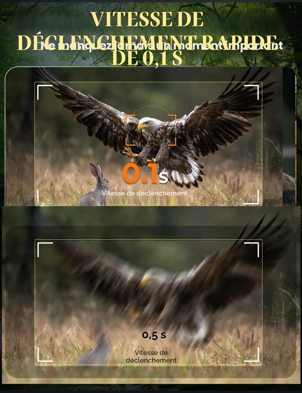 Caméra de Chasse 60MP 4K avec Détecteur de Mouvement Vision Nocturne 940nm IR LED IP66