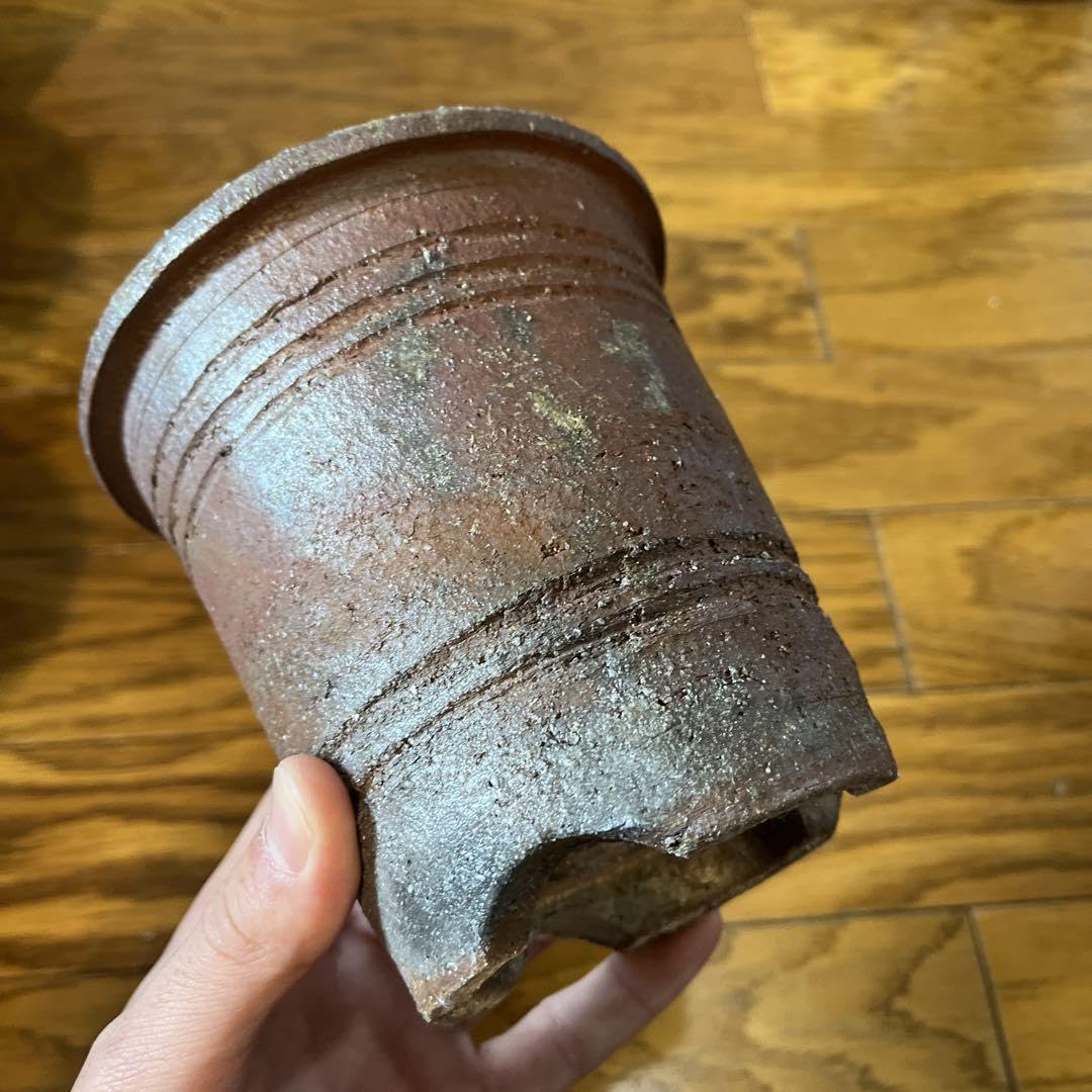 伝市鉢 希少な穴窯焼成 縦13cm 横13cm アガベやコーデックスに