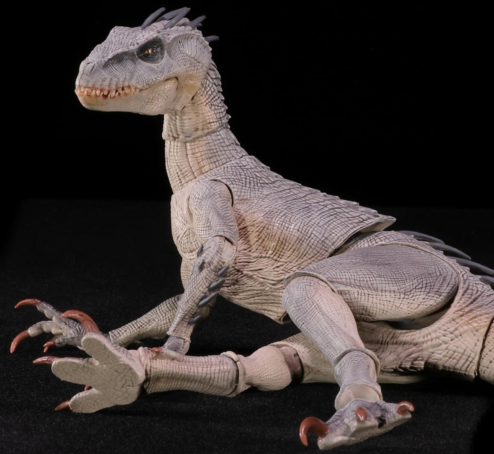 Amazon | Nanmu 本心楠改 零集易動シリーズ ティラノサウルス 恐竜