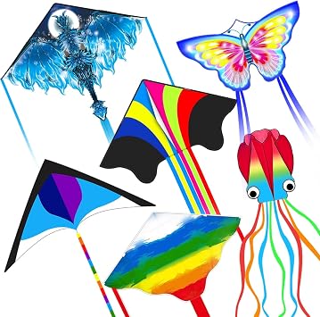 Single Line Kite Set for Kids & Adults Easy to Fly, Beginner Kite for Beach