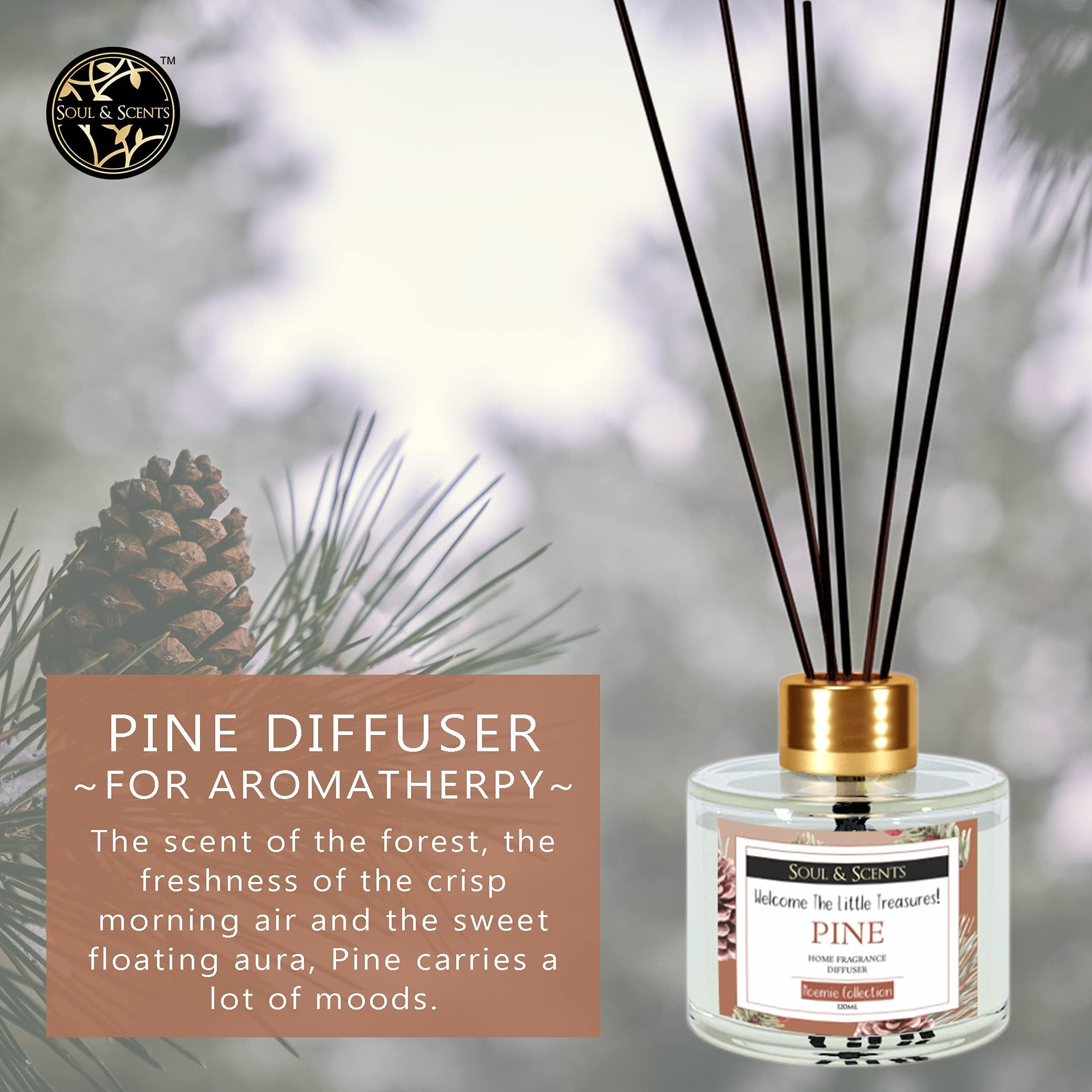 Soul & Scents Pine Reed Diffuser Set - 120ml with Free 6 Fiber Reed Sticks Each | Toxin Free & Stress Relief | Long Lasting | Smoke Less Room Freshener for Home, Bedroom & Office | Pack of 2 4