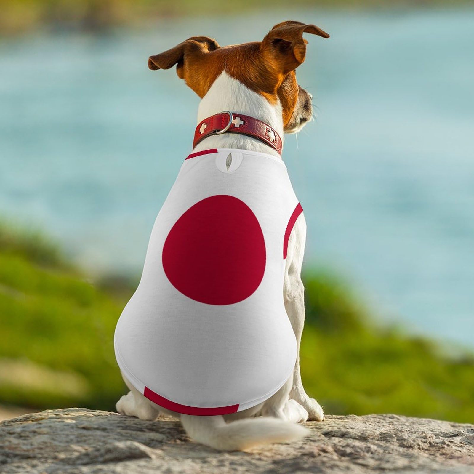 Amazon.co.jp: 日本国旗 日の丸 ペット服 犬服 春夏秋 Tシャツ 袖なし